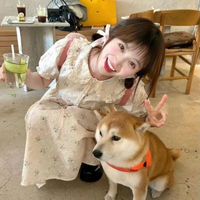 我的如意狼君粤语